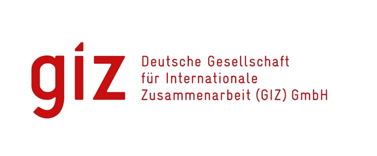 GIZ Logo